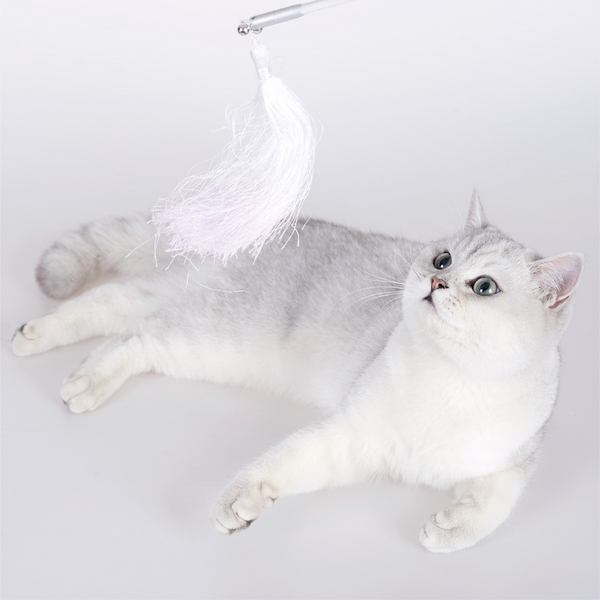 피단스튜디오 고양이 장난감 수술 장식 리필 2종