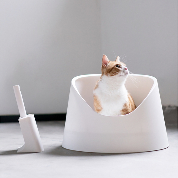 피단스튜디오 고양이 평판형 화장실