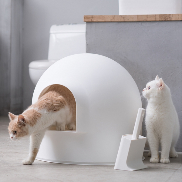 피단스튜디오 고양이 후드형 이글루 화장실 화이트