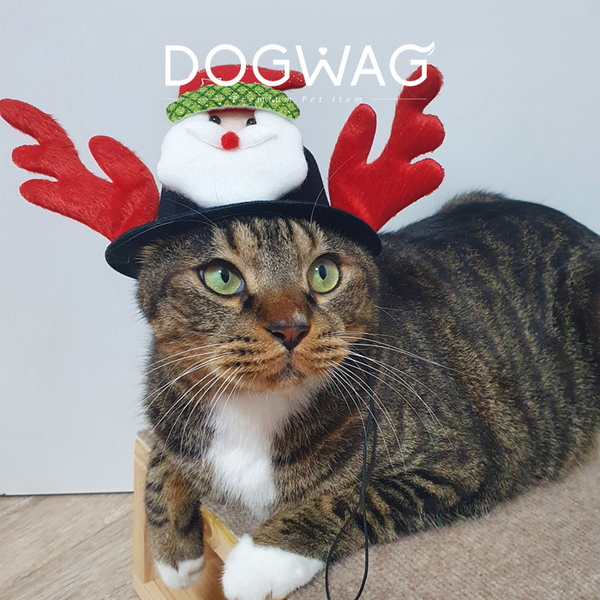 루돌프 모자 강아지 고양이 크리스마스 코스튬