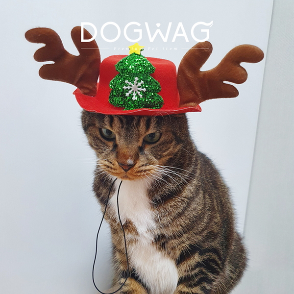 루돌프 모자 강아지 고양이 크리스마스 코스튬
