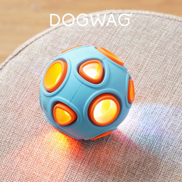 스톤볼 강아지 장난감 LED 공 스낵볼