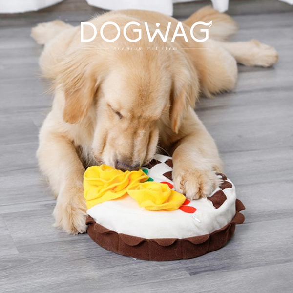 도그웨그 노즈워크 케이크 장난감 강아지 분리불안 훈련