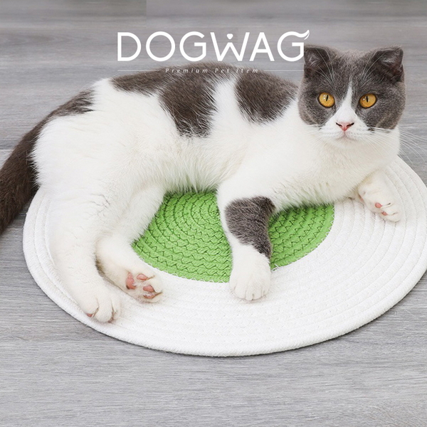 도그웨그 스크래쳐 매트 고양이 발톱관리 카펫 스트레스 해소