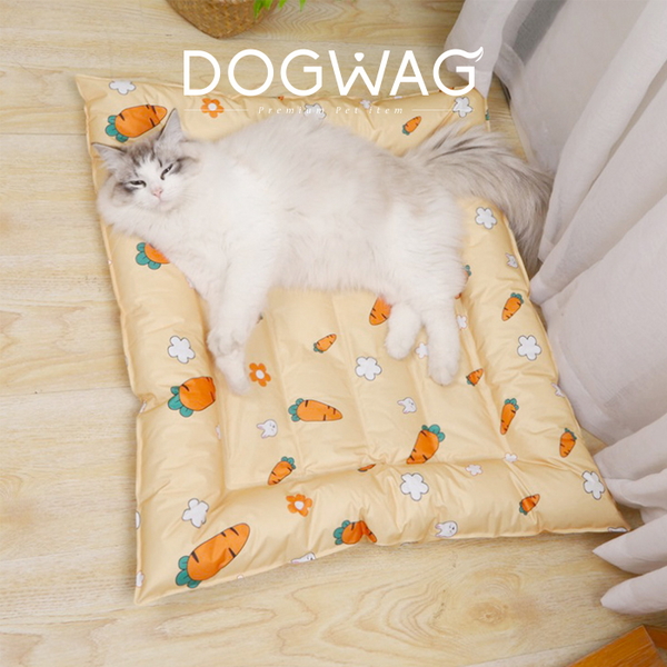 딥슬립 강아지 대형 쿨매트 고양이 여름 쿨방석