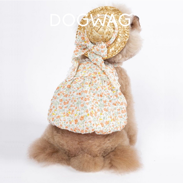 도그웨그 플라워 밀짚모자 강아지 고양이 여름 소형견 악세사리