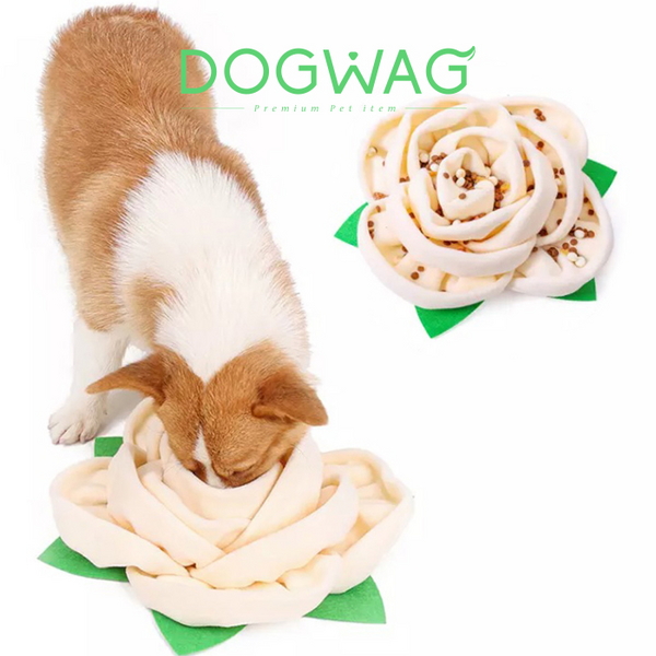 도그웨그 대왕 꽃 노즈워크 강아지 간식 장난감 삑삑이 터그놀이 분리불안 훈련