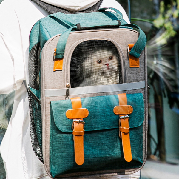 도그웨그 네모 백팩 크로스 이동장 강아지 산책 이동 가방 고양이 캐리어