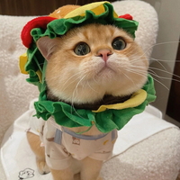 도그웨그 햄버거 모자 코스튬 강아지 할로윈 고양이 코스프레 파티 의상
