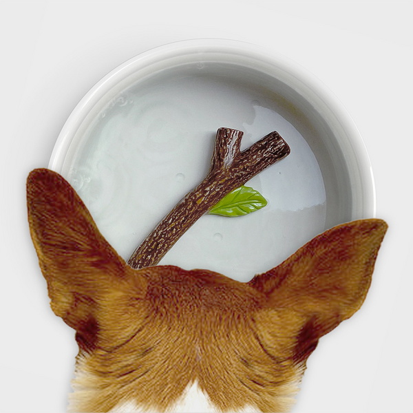 [썩유케이] 강아지 고양이 물그릇 식기 Fetch Stick