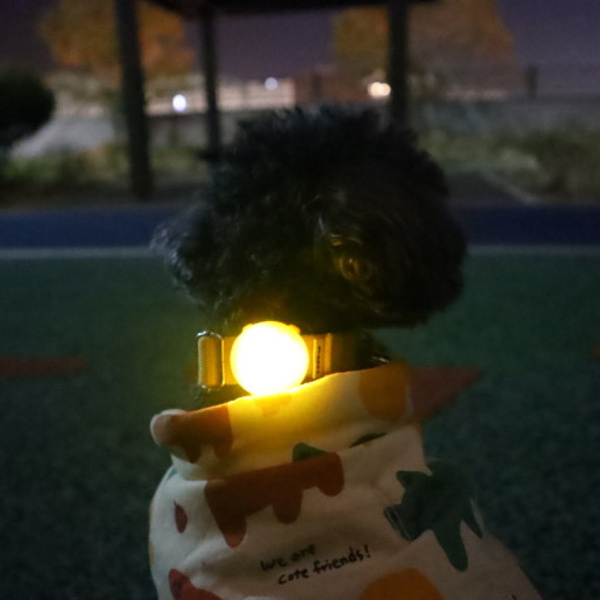 강아지 LED 블링커 목줄 하네스 장착형 가벼운 무게