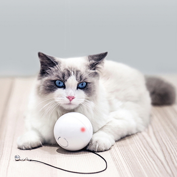 펫케어 스마트캣볼 움직이는 고양이 자동 공 장난감