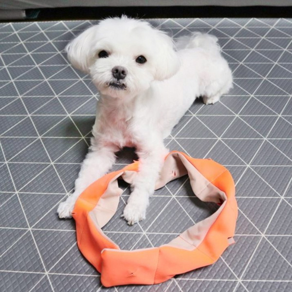 로맨스독 강아지 꽈배기 노즈워크 장난감