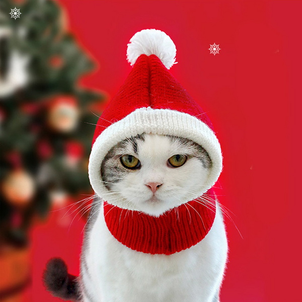 강아지 고양이 크리스마스 산타모자 산타망토