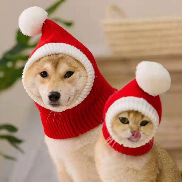 강아지 고양이 크리스마스 산타모자 산타망토