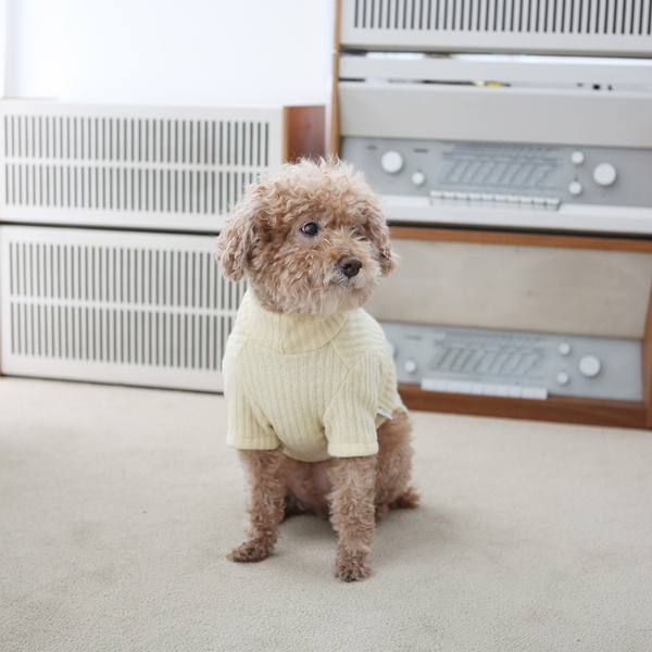 강아지옷 겨울니트 파인 니트 하이넥 스웨터(크림)