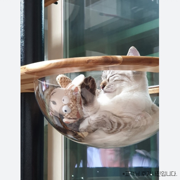펫편한세상 수제공작소 고양이 아카시아 원목 캣타워