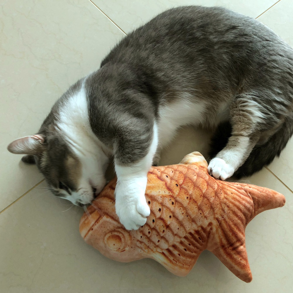 발라당 고양이 캣닢 쿠션 붕어빵 생선인형