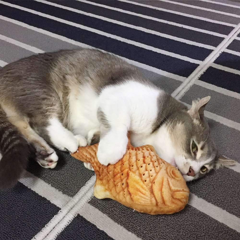 발라당 고양이 캣닢 쿠션 붕어빵 생선인형