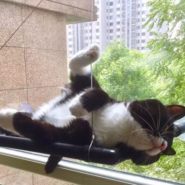 발라당 고양이 윈도우 해먹 창문해먹 매쉬블랙