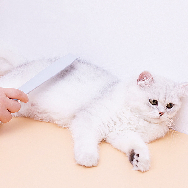 티에프펫 고양이 그루밍 스틱 브러쉬