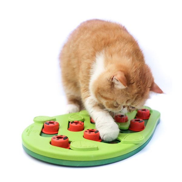 니나오토슨 버깅 아웃 퍼즐 플레이 고양이 장난감