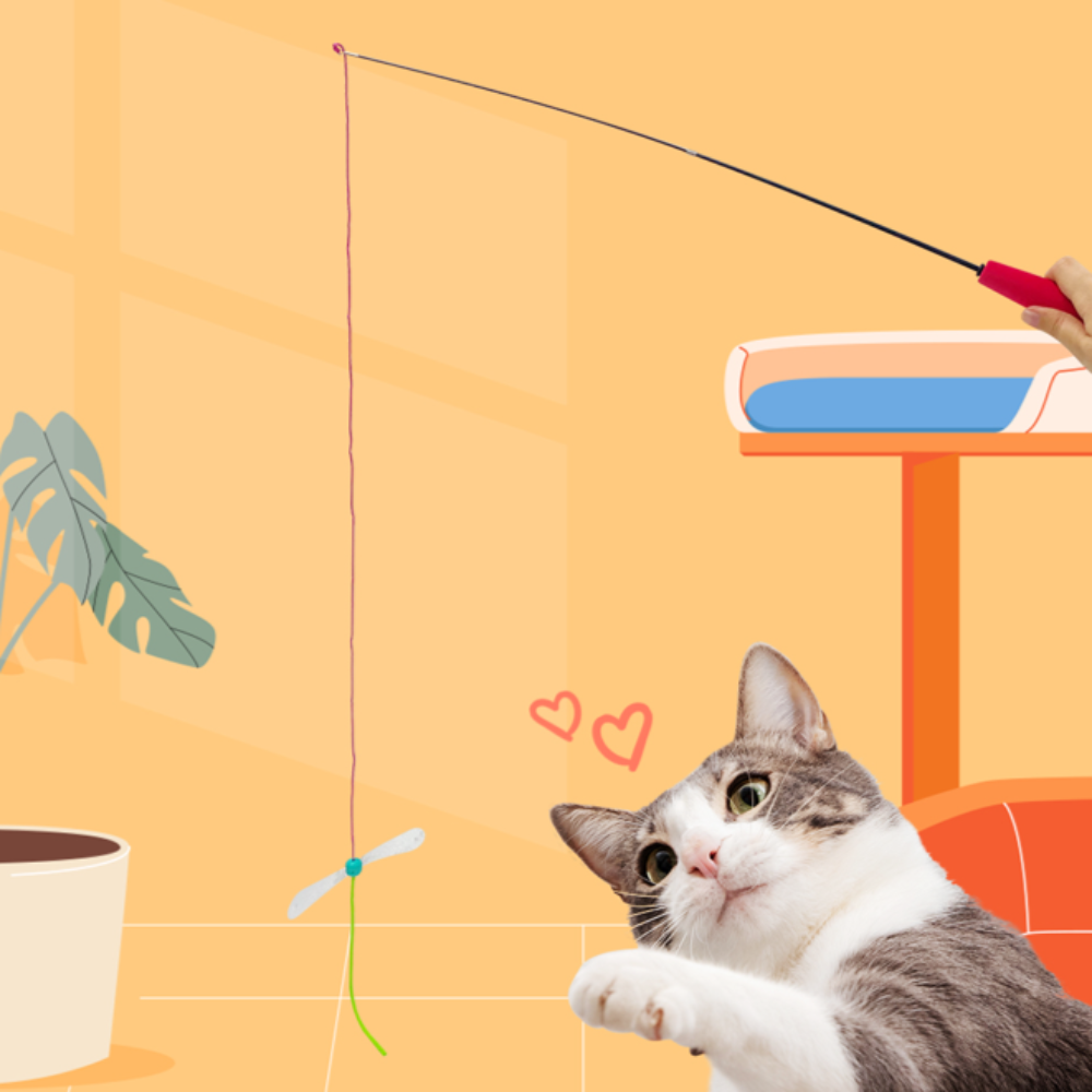 캐티맨 오로라 잠자리 고양이 낚시대 장난감