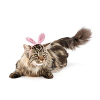 쥬아펫 강아지 고양이 핸드메이드 토끼 머리띠 모자