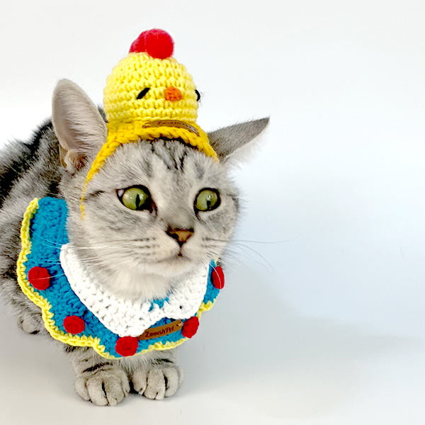 쥬아펫 강아지 고양이 심쿵 병아리 머리띠 모자