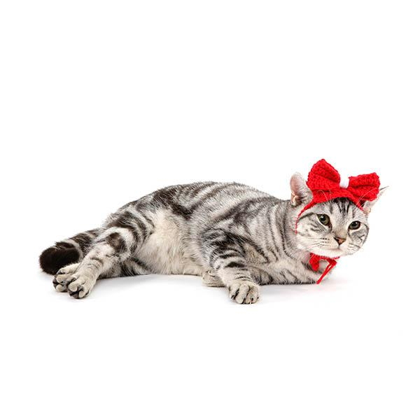 쥬아펫 강아지 고양이 핸드메이드 리본 머리띠 모자