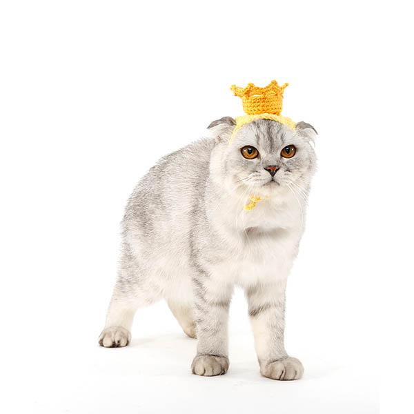 쥬아펫 강아지 고양이 핸드메이드 왕관 머리띠 모자