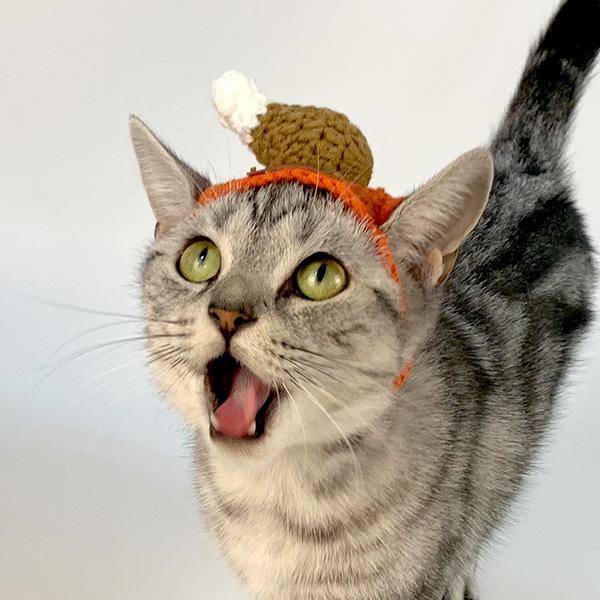 쥬아펫 강아지 고양이 심쿵 닭봉 머리띠 모자