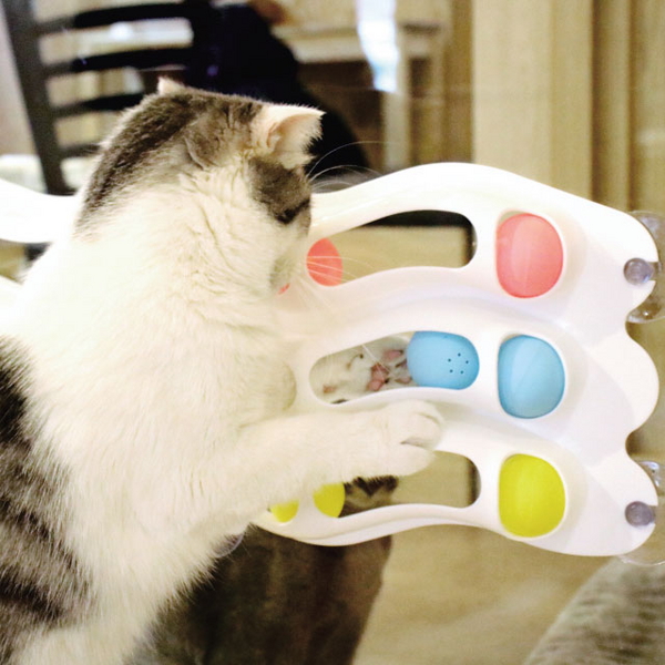 리스펫 고양이 3단트랙볼 움직이는 장난감
