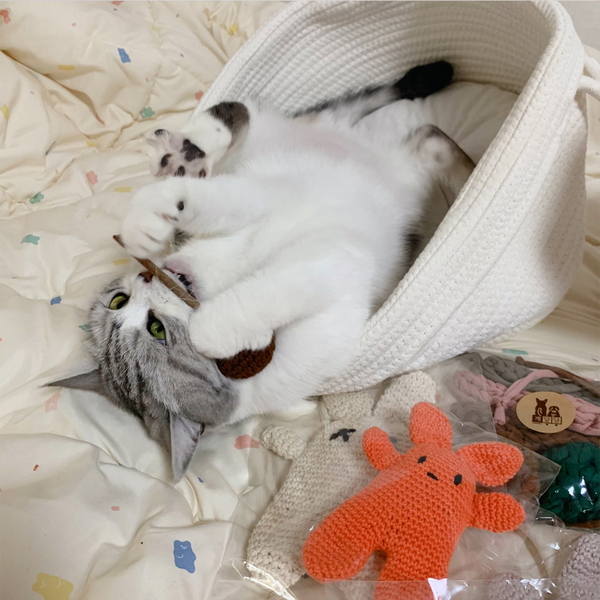 개달당 캣닢 마따따비 춥스 뜨개 막대사탕 고양이 캣닢 장난감