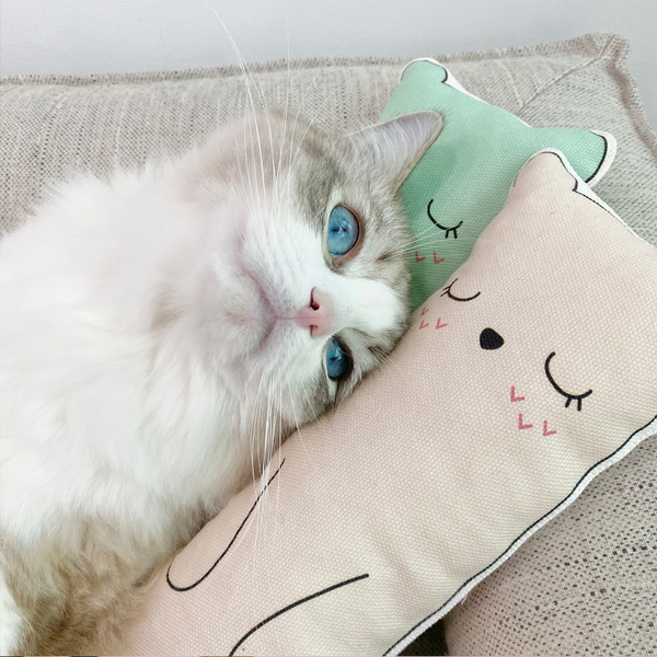 개달당 마시멜로 캣닢패드 고양이 쿠션 베개 장난감