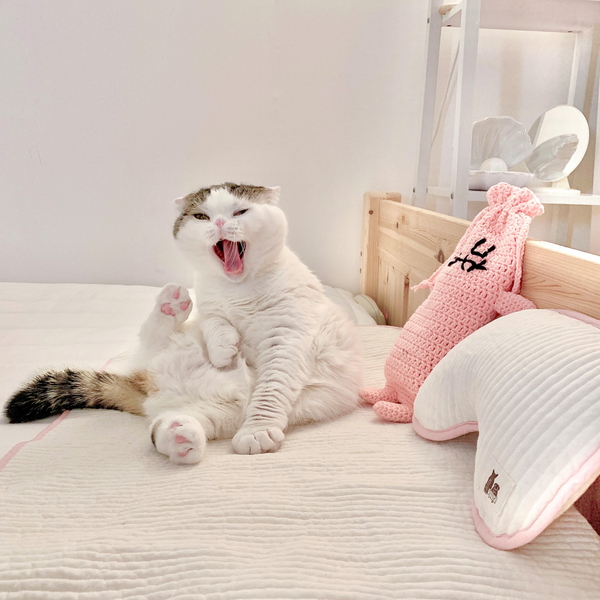 개달당 몬스터 캣닢쿠션 파우치 고양이장난감 뒷발팡팡