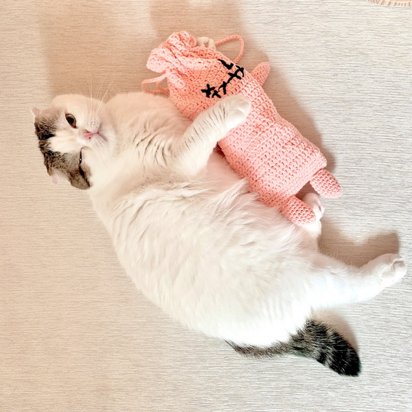 개달당 몬스터 캣닢쿠션 파우치 고양이장난감 뒷발팡팡