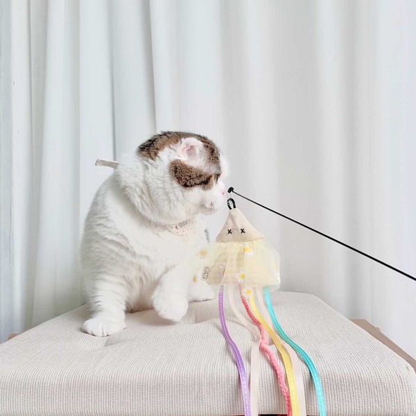 개달당 오징어 고양이 리본끈 낚시대 장난감 카샤카샤 리필