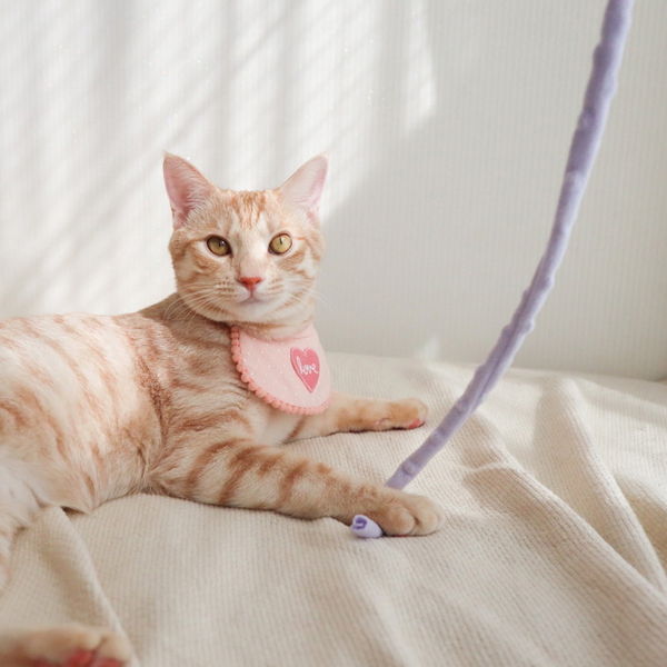 개달당 벨벳 낚시대 고양이 끈 장난감 카샤카샤 리필