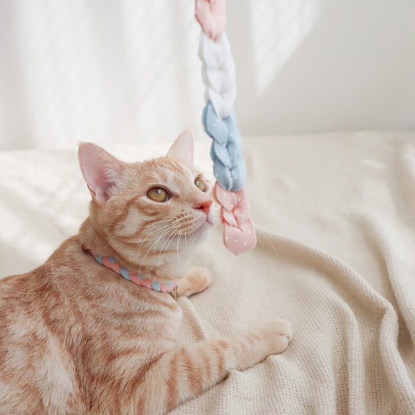 개달당 오가닉 샤베트 낚시대 고양이 끈 장난감 카샤카샤 리필
