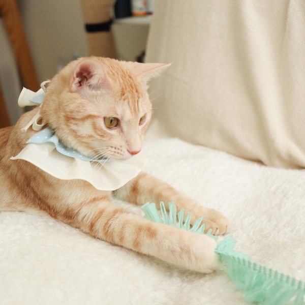 개달당 훌라훌라 낚시대 고양이 끈 장난감 카샤카샤 리필(색상랜덤)