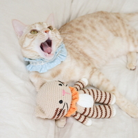 개달당 코숏 치즈 고양이 애착인형 고양이장난감 뜨개인형