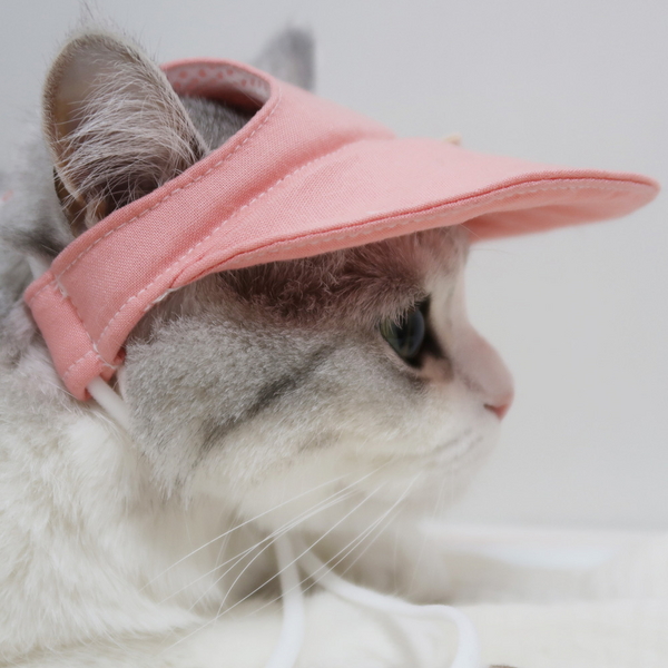 개달당 와츄원 컬러 고양이 강아지 선캡 모자 5colors