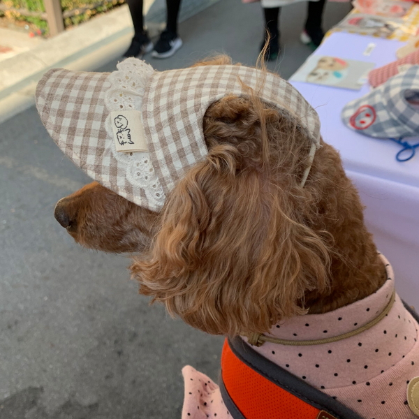개달당 파스텔 체크 레이스 강아지 선캡 모자 4colors
