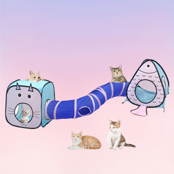 냥슬아치 고양이 올인원 숨숨캣터널 장난감 놀이터