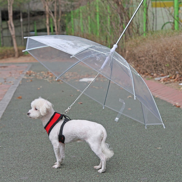 파스텔독 강아지 산책 우산 리드줄