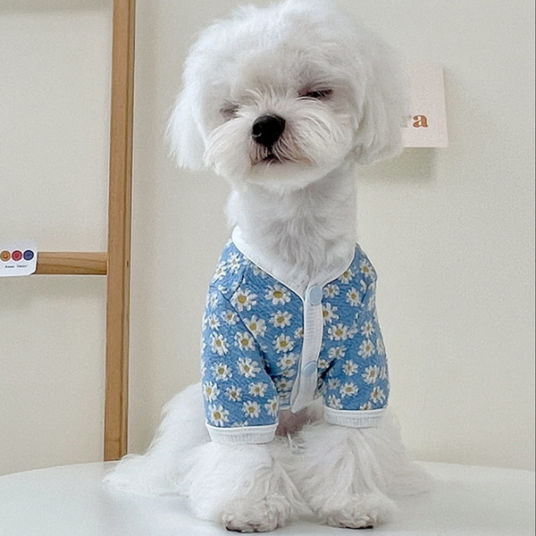 강아지 니트 꽃무늬 할매 조끼 니트 스웨터