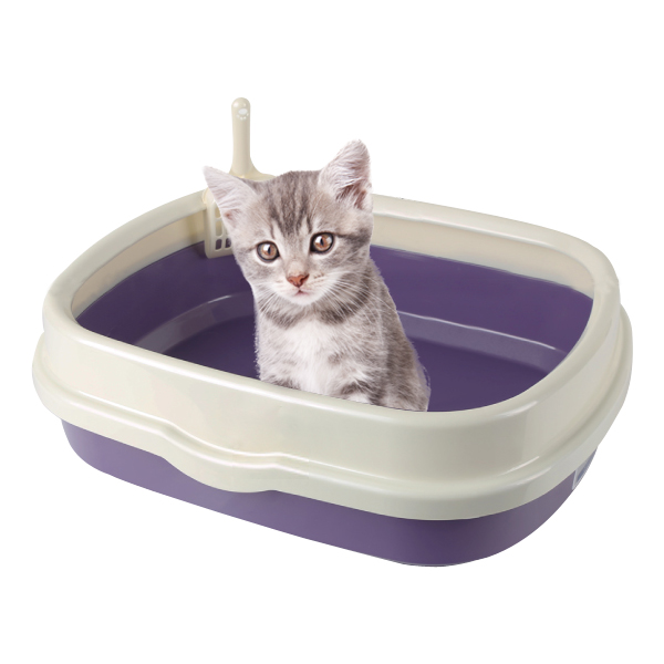 블루파우 가든 고양이 평판형 오픈 화장실 대형 퍼플