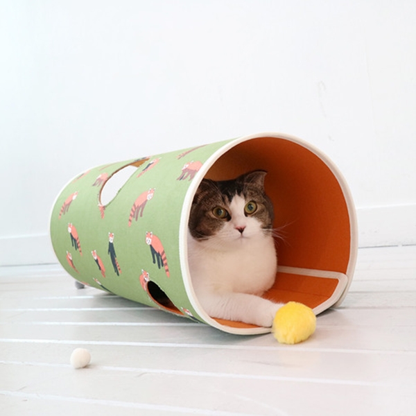 모모제리 고양이 터널 래서판다