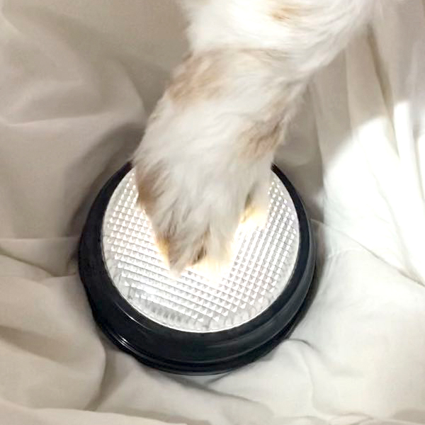 [1+1] 말하는 강아지 펫톡 LED 간식 녹음벨